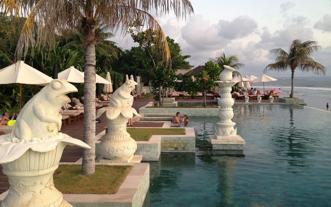 My Seventh Week Interning in Bali