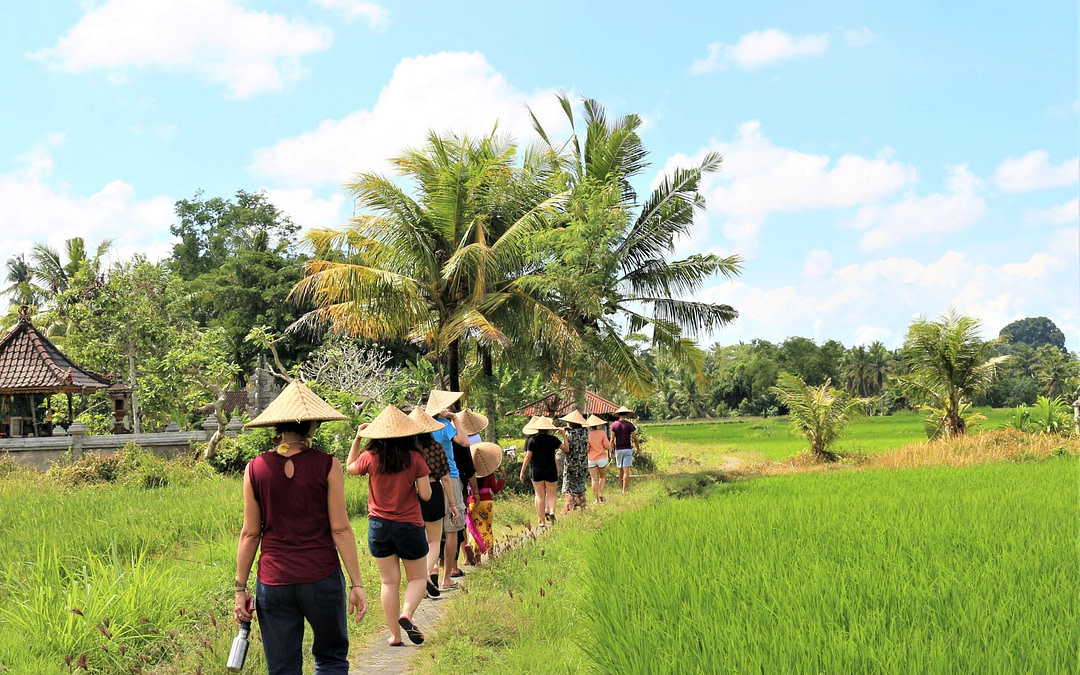 From Psychology Studies to Social Enterprise in Bali