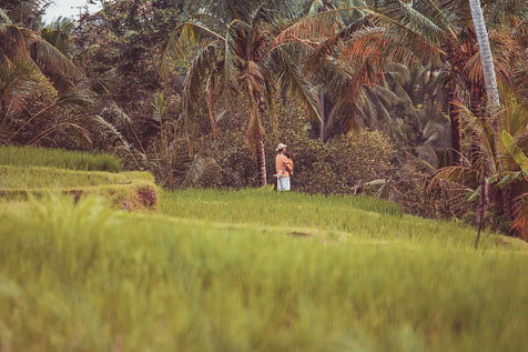 Gap year reasons